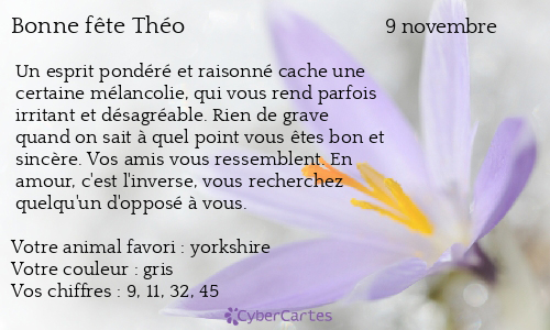 Carte bonne fête Théo