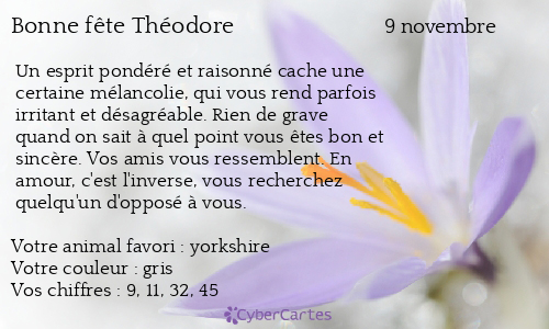 Carte bonne fête Théodore