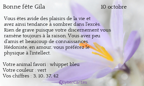 Carte bonne fête Gila