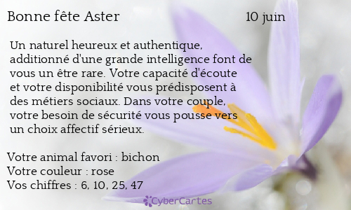 Carte bonne fête Aster