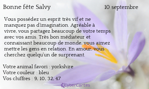 Carte bonne fête Salvy