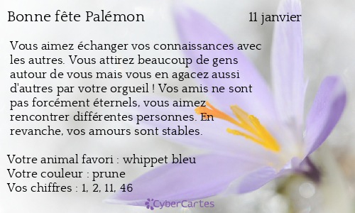Carte bonne fête Palémon