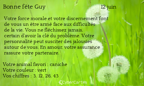 Carte bonne fête Guy