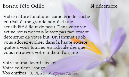 Carte bonne fête Odile