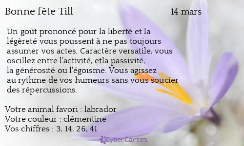 Carte bonne f&ecirc;te Till