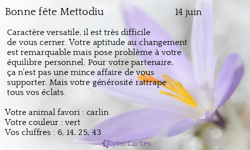 Carte bonne fête Mettodiu