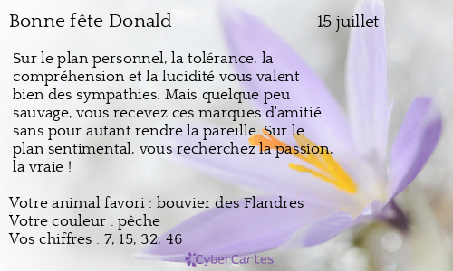 Carte bonne fête Donald