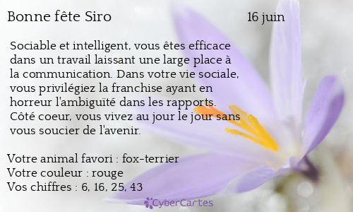 Carte bonne fête Siro