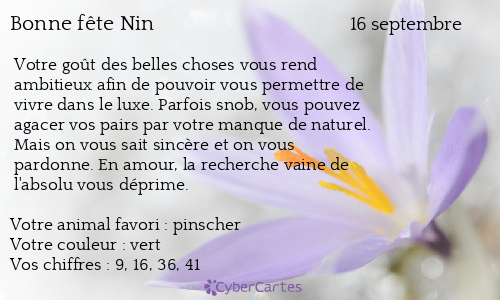 Carte bonne fête Nin