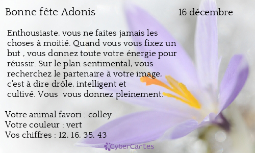 Carte bonne f te Adonis 16 d cembre