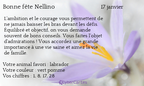 Carte bonne fête Nellino