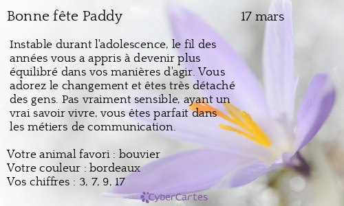 Carte bonne fête Paddy