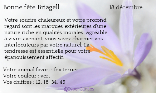 Carte bonne f&ecirc;te Briagell