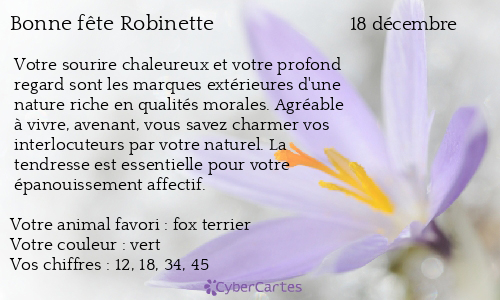 Carte bonne fête Robinette