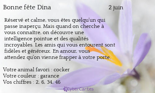 Carte bonne fête Dina