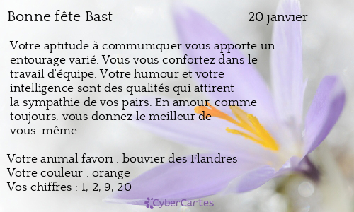 Carte bonne fête Bast