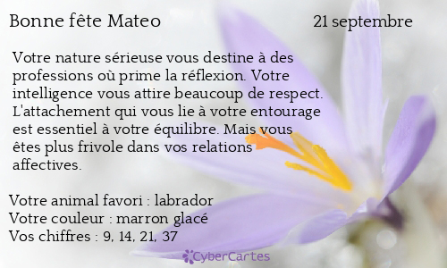 Carte bonne fête Mateo