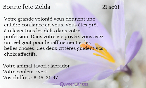 Carte bonne fête Zelda