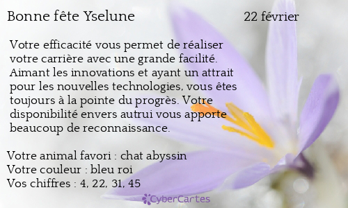 Carte bonne f&ecirc;te Yselune