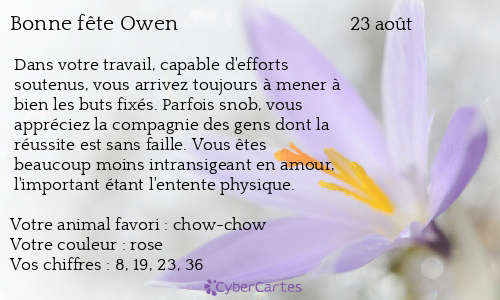 Carte bonne fête Owen