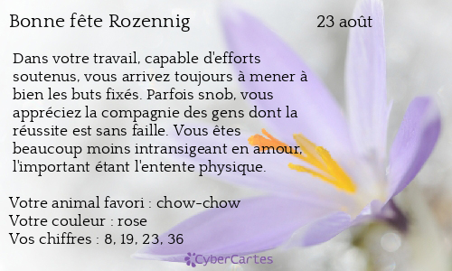 Carte bonne fête Rozennig