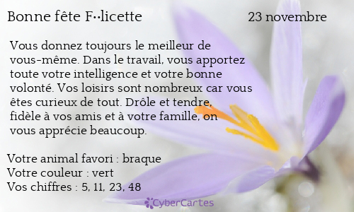 Carte bonne fête F��licette