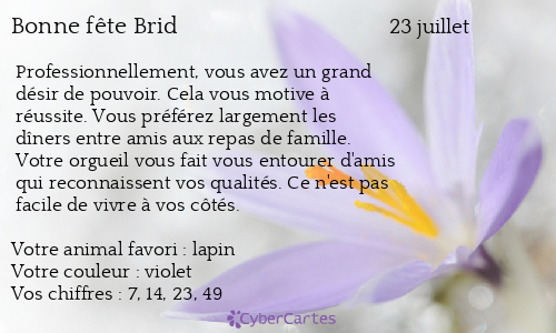 Carte bonne f&ecirc;te Brid