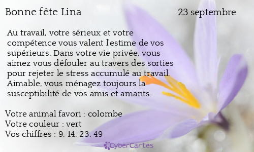 Carte bonne f&ecirc;te Lina