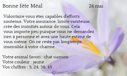 Carte bonne fête Méal
