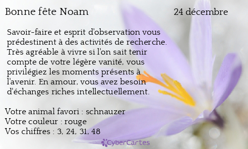 Carte bonne fête Noam