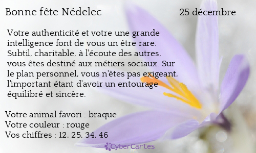 Carte bonne fête Nédelec