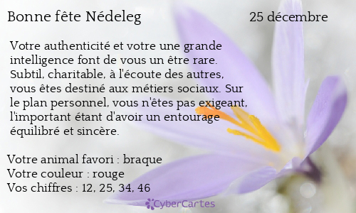 Carte bonne fête Nédeleg