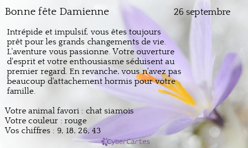Carte bonne f&ecirc;te Damienne