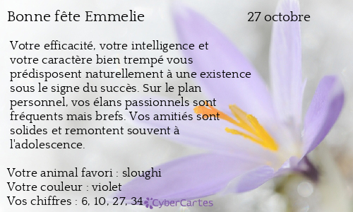 Carte bonne f&ecirc;te Emmelie