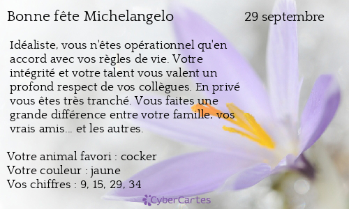 Carte bonne f&ecirc;te Michelangelo