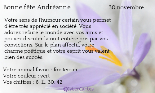 Carte bonne fête Andréanne