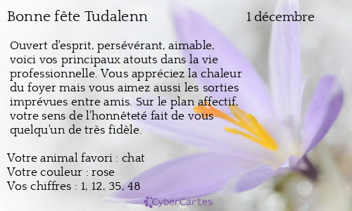 Carte bonne fête Tudalenn