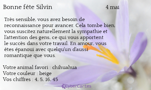 Carte bonne fête Silvin