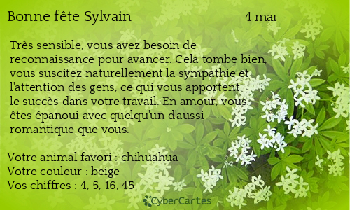 Carte bonne fête Sylvain