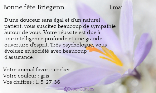 Carte bonne fête Briegenn