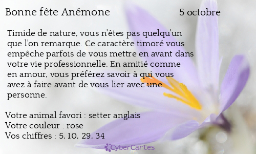 Carte bonne fête Anémone