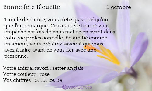 Carte bonne fête Bleuette