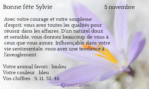 Carte bonne fête Sylvie