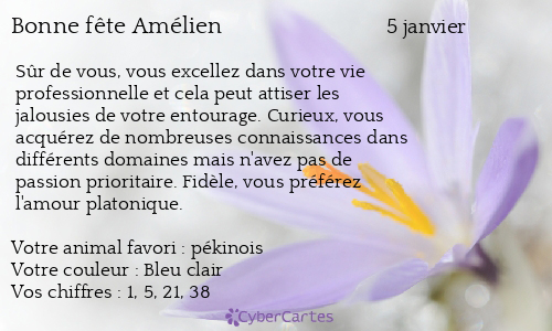 Carte bonne fête Amélien