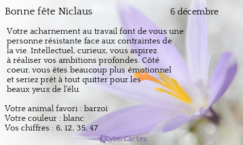Carte bonne fête Niclaus