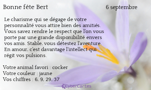 Carte bonne f&ecirc;te Bert