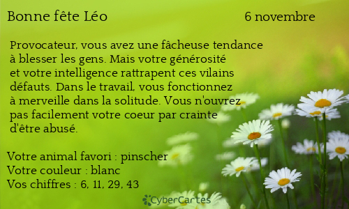 Carte bonne fête Léo