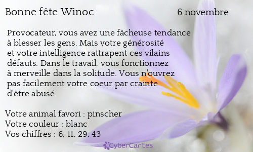Carte bonne fête Winoc