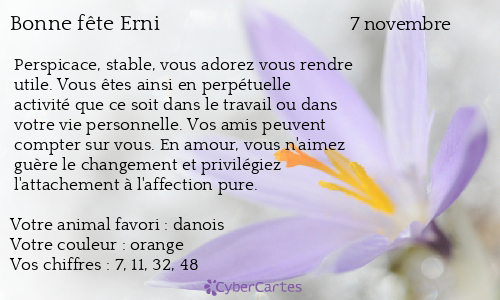 Carte bonne f&ecirc;te Erni