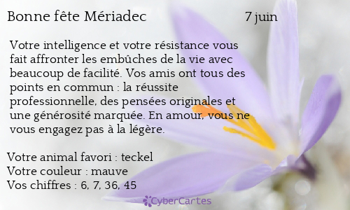 Carte bonne fête Mériadec